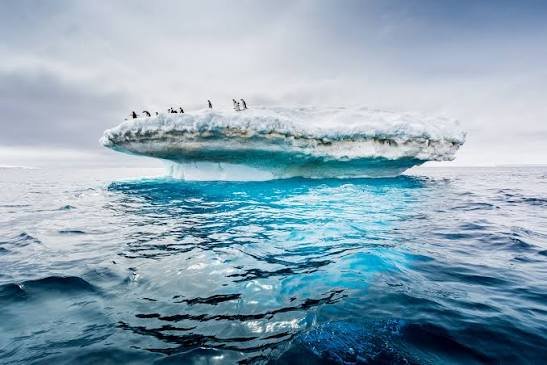 gavin leatherwood Drake Passage
